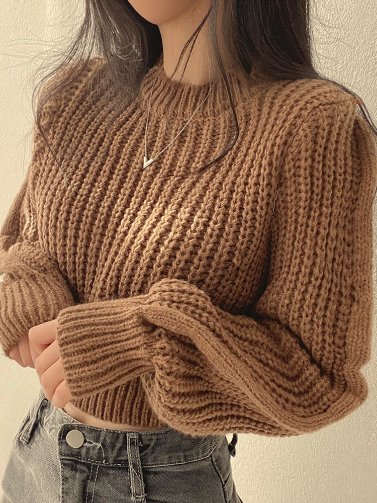 Lantern Sleeve Knit Sweater